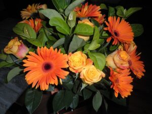 choix des engrais pour rosier