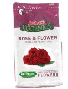 fertiliser les rosiers
