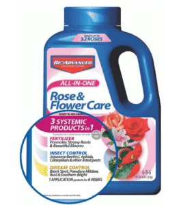 engrais pour roses